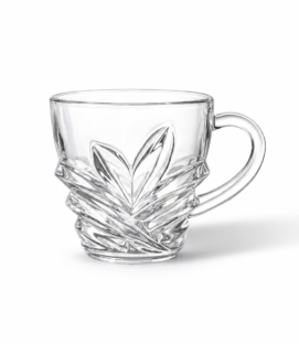 Elegant 6-Piece Glass Tea Cup Set